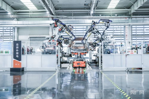 “十五五”啟新程 向新向智，機(jī)器人解鎖產(chǎn)業(yè)新賽道